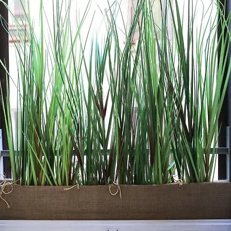 Lady A In Rome- Luxury Rom